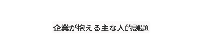 企業が抱える主な人的課題